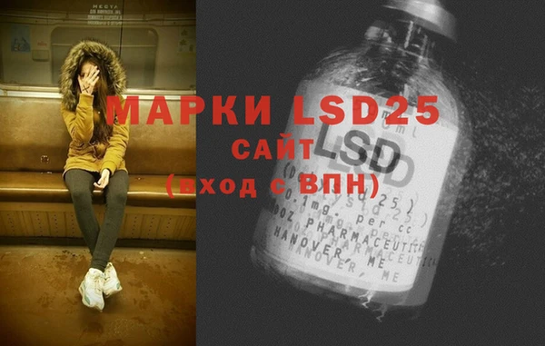 стафф Майский