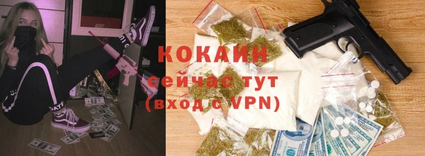 ПСИЛОЦИБИНОВЫЕ ГРИБЫ Новодвинск