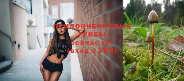 ALPHA-PVP Мегион